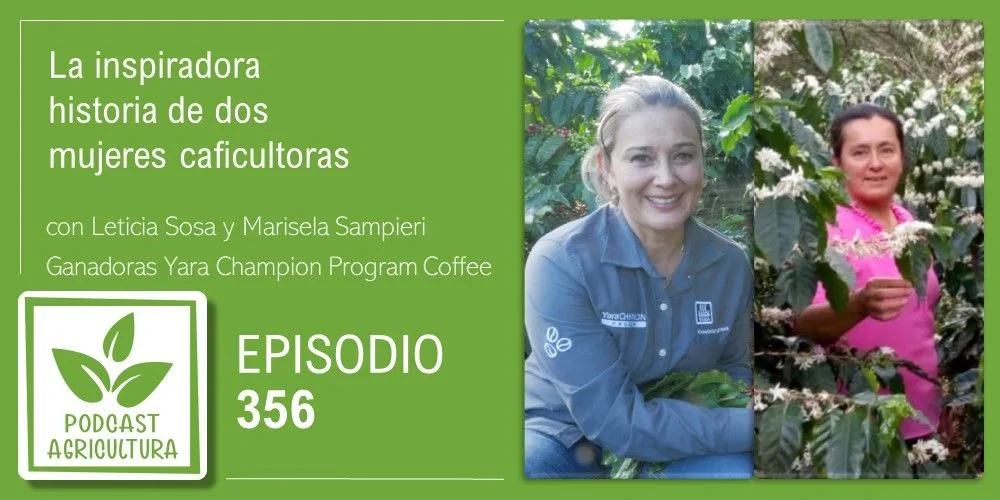 Episodio 356: La inspiradora historia de dos mujeres caficultoras con Leticia Sosa y Marisela Sampieri