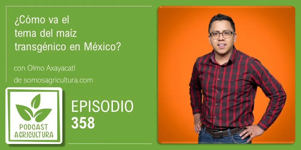 Episodio 358: ¿Cómo va el tema del maíz transgénico en México? con Olmo Axayacatl