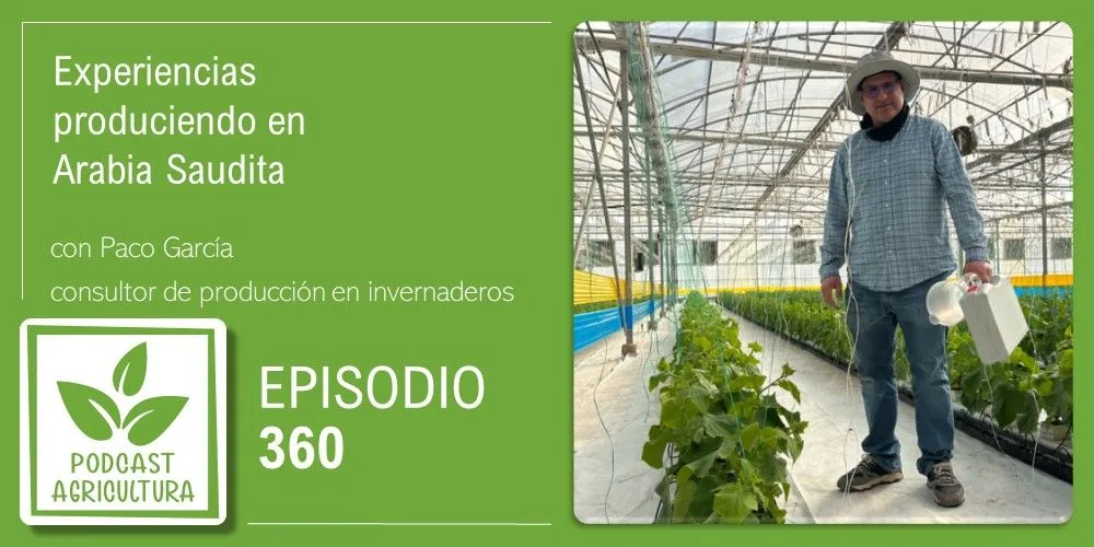 Episodio 360: Experiencias produciendo en Arabia Saudita con Paco García