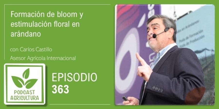 Episodio 363: Formación de bloom y estimulación floral en arándano con Carlos Castillo