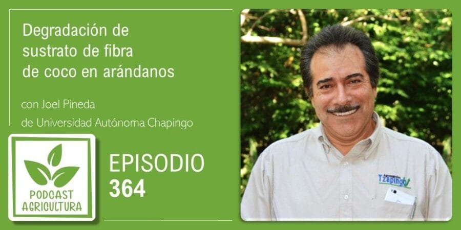 Episodio 364: Degradación de sustrato de fibra de coco en arándanos con Joel Pineda