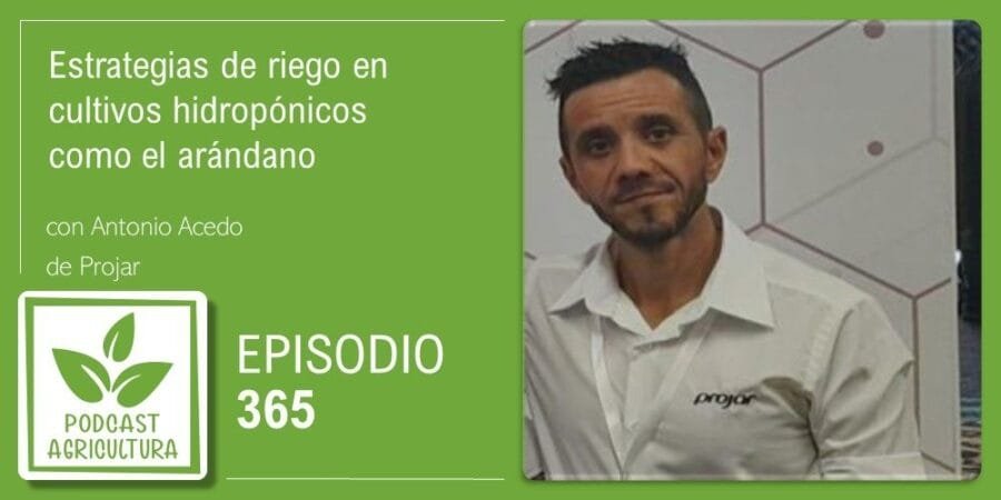 Episodio 365: Estrategias de riego en cultivos hidropónicos como el arándano con Antonio Acedo