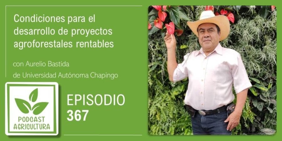 Episodio 367: Condiciones para el desarrollo de proyectos agroforestales rentables con Aurelio Bastida