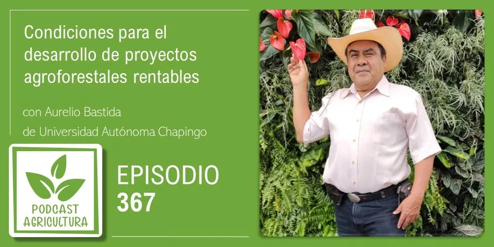 Episodio 367: Condiciones para el desarrollo de proyectos agroforestales rentables con Aurelio Bastida