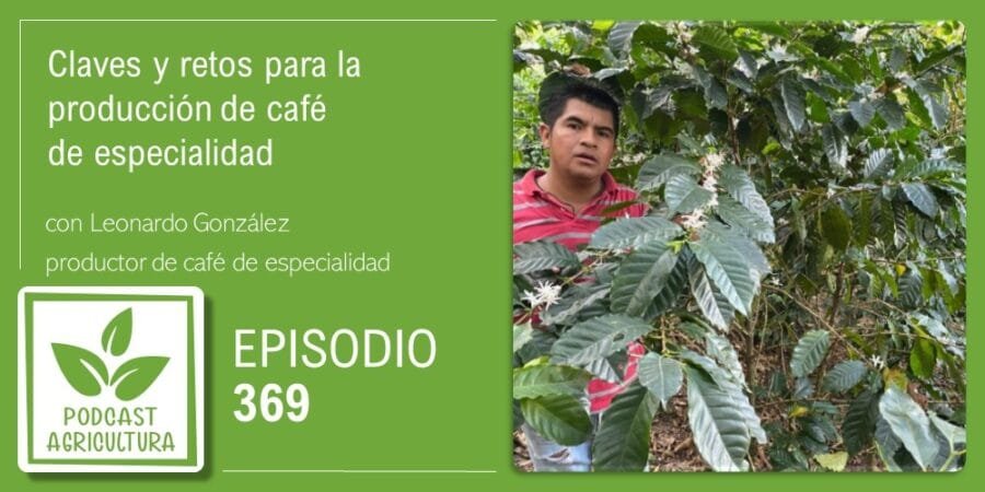 Episodio 369: Claves y retos para la producción de café de especialidad con Leonardo González