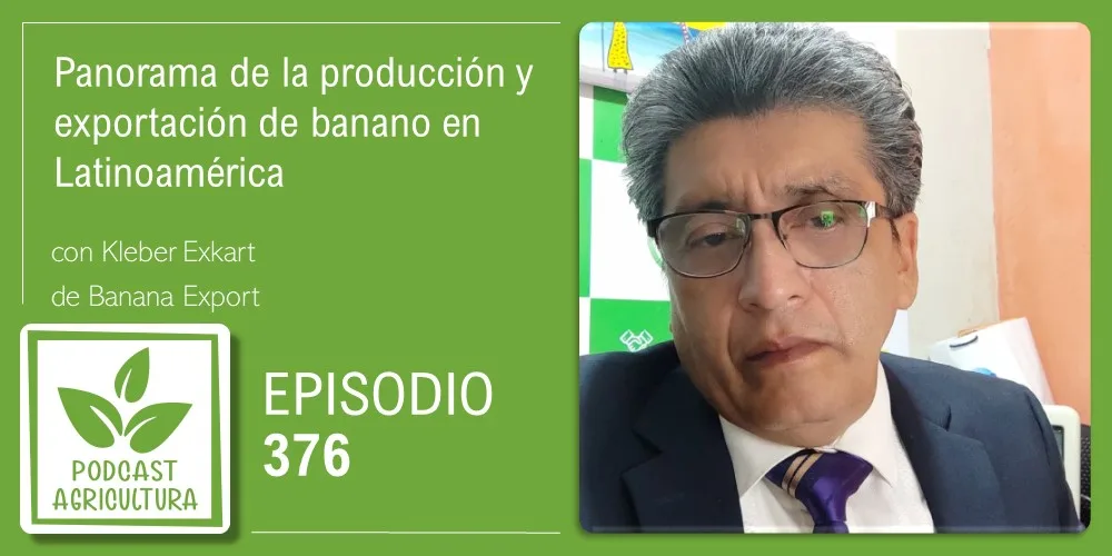 Episodio 376: Panorama de la producción y exportación de banano en Latinoamérica con Kleber Exkart
