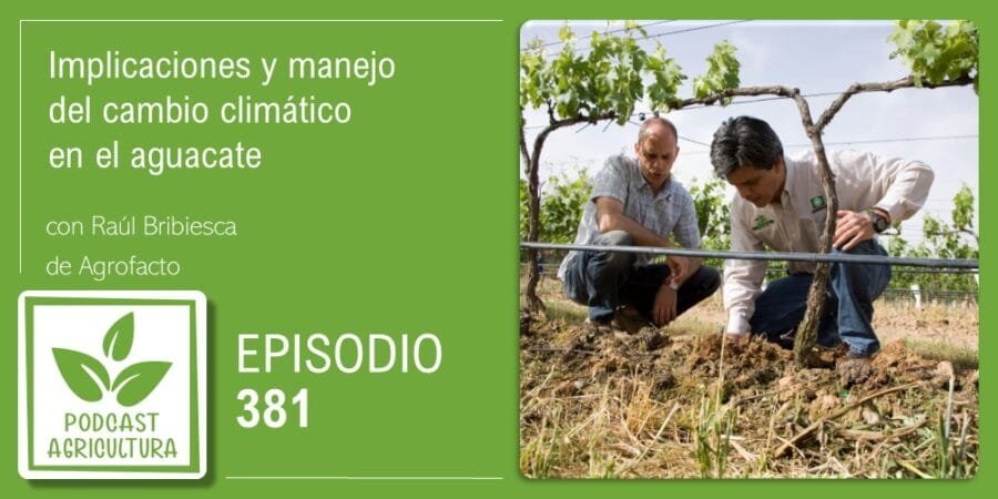 Episodio 381: Implicaciones y manejo del cambio climático en el aguacate con Raúl Bribiesca