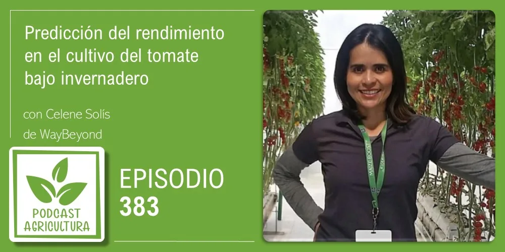 Episodio 383: Predicción del rendimiento en el cultivo del tomate bajo invernadero con Celene Solís