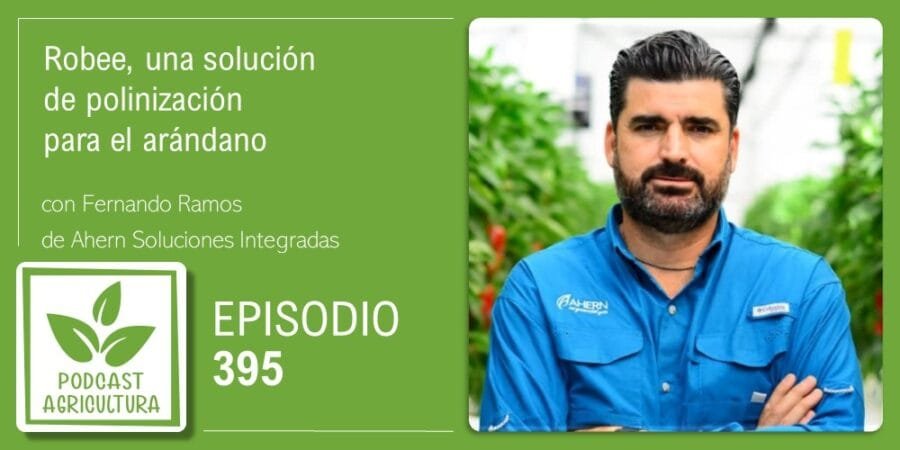 Episodio 395: Robee, una solución de polinización para el arándano con Fernando Ramos