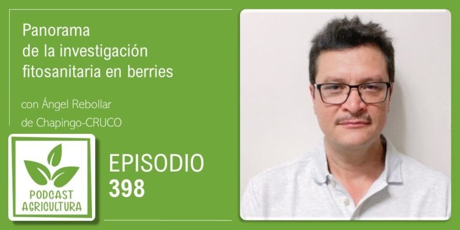 Episodio 398: Panorama de la investigación fitosanitaria en berries con Ángel Rebollar
