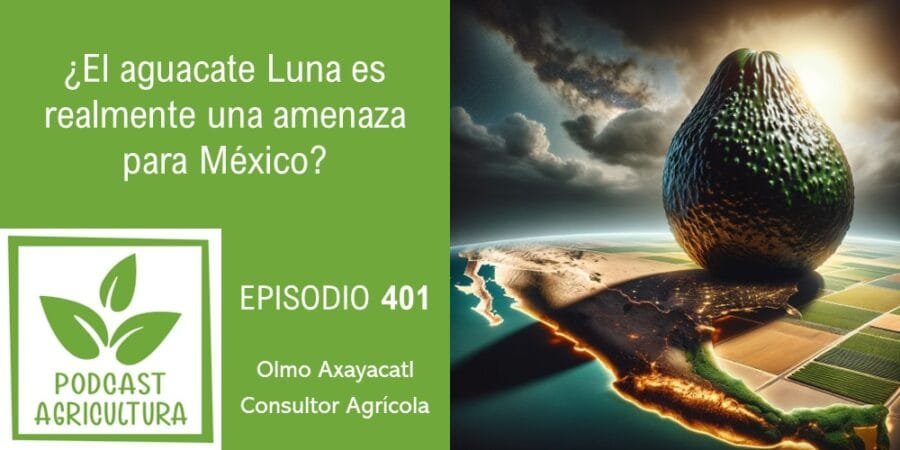 Episodio 401: ¿El aguacate Luna es realmente una amenaza para México?