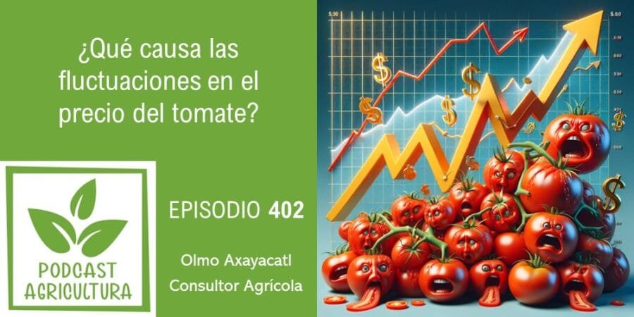Episodio 402: ¿Qué causa las fluctuaciones en el precio del tomate?