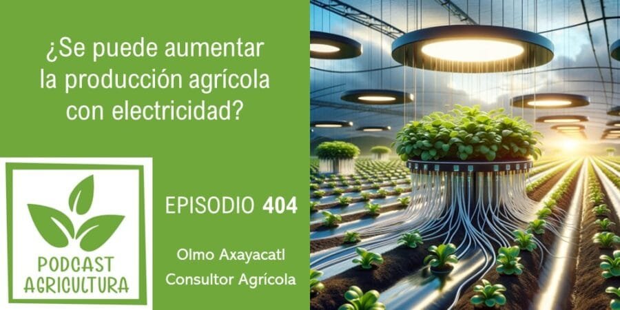 Episodio 404: ¿Se puede aumentar la producción agrícola con electricidad?