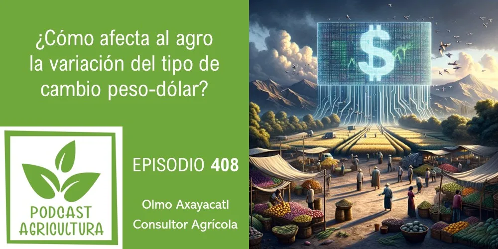 Episodio 408: ¿Cómo afecta al agro la variación del tipo de cambio peso-dólar?