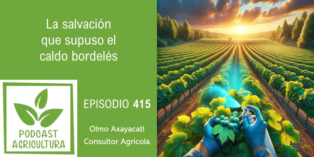 Episodio 415: La salvación que supuso el caldo bordelés