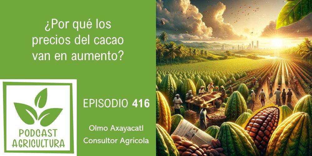 Episodio 416: ¿Por qué los precios del cacao van en aumento?