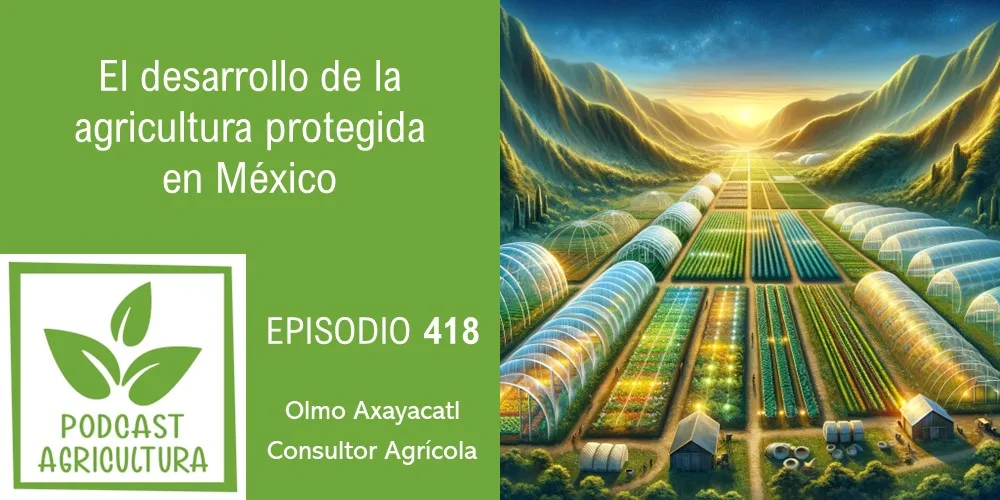 Episodio 418: El desarrollo de la agricultura protegida en México