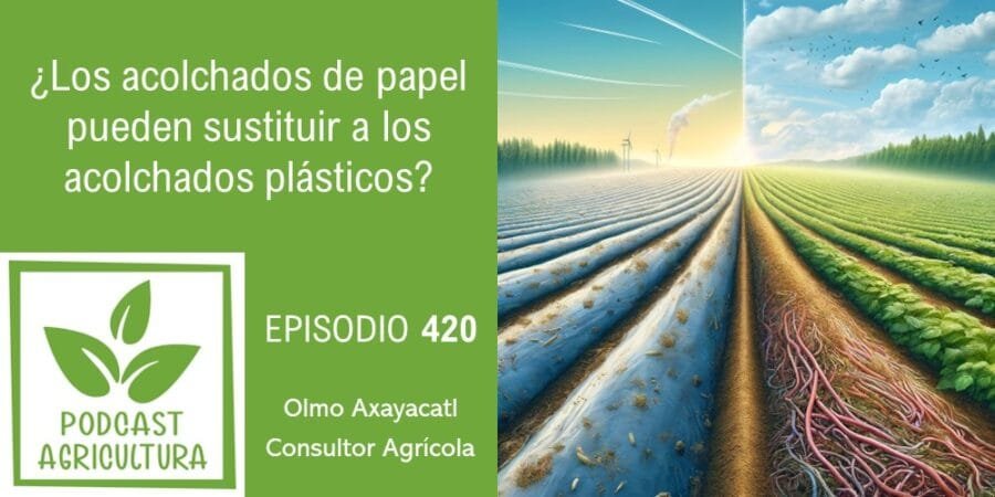 Episodio 420: ¿Los acolchados de papel pueden sustituir a los acolchados plásticos?