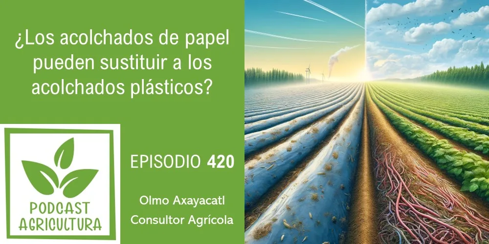 Episodio 420: ¿Los acolchados de papel pueden sustituir a los acolchados plásticos?