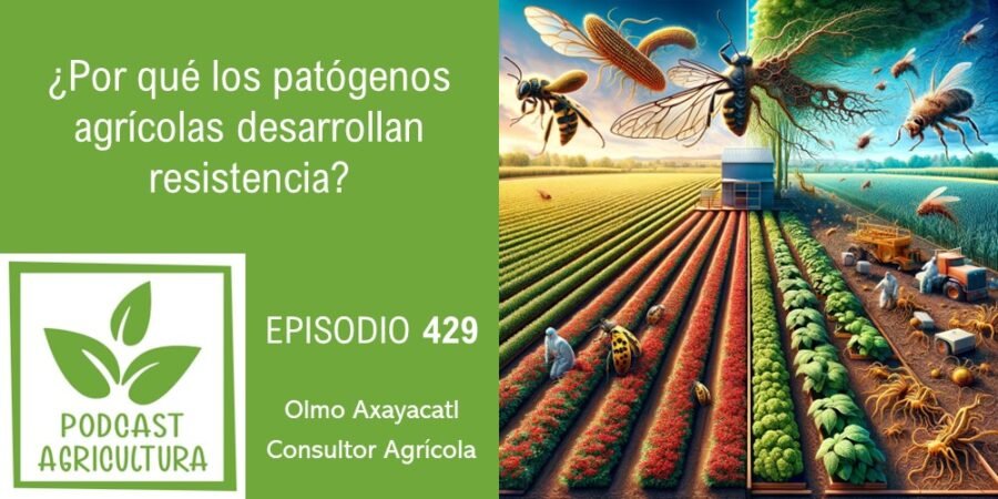 Episodio 429: ¿Por qué los patógenos agrícolas desarrollan resistencia?