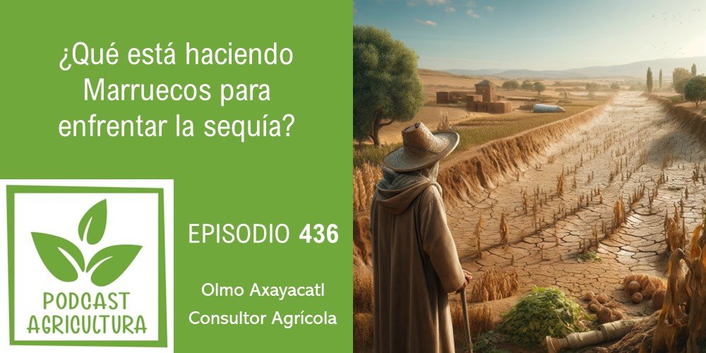 Episodio 436 de Podcast Agricultura
