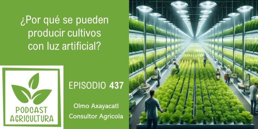 Episodio 437: ¿Por qué se pueden producir cultivos con luz artificial?