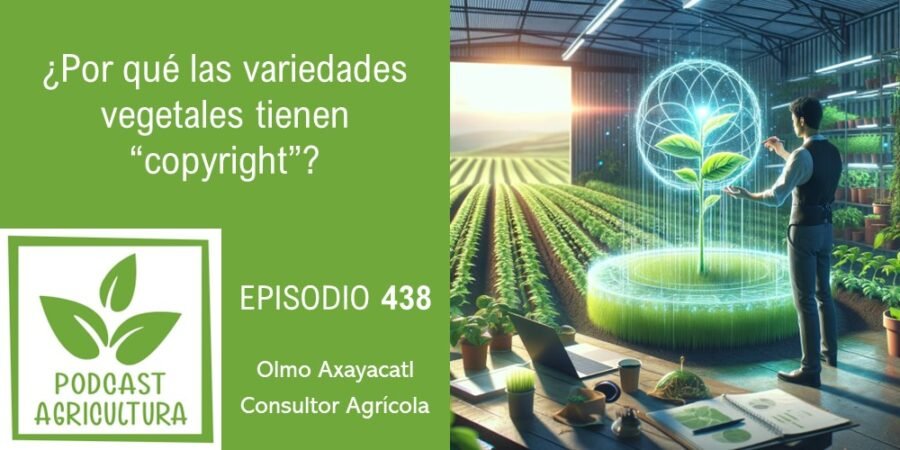 Episodio 438: ¿Por qué las variedades vegetales tienen “copyright”?