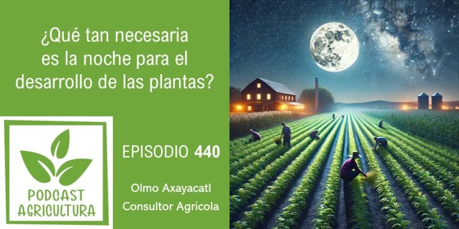 Episodio 440: ¿Qué tan necesaria es la noche para el desarrollo de las plantas?