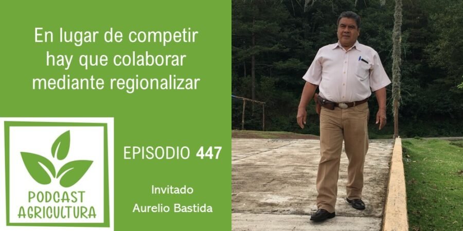 Episodio 447: En lugar de competir hay que colaborar mediante regionalizar con Aurelio Bastida