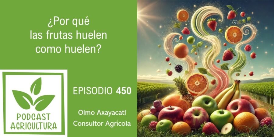 Episodio 450: ¿Por qué las frutas huelen como huelen?