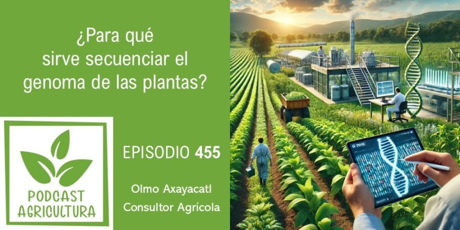 Episodio 455: ¿Para qué sirve secuenciar el genoma de las plantas?