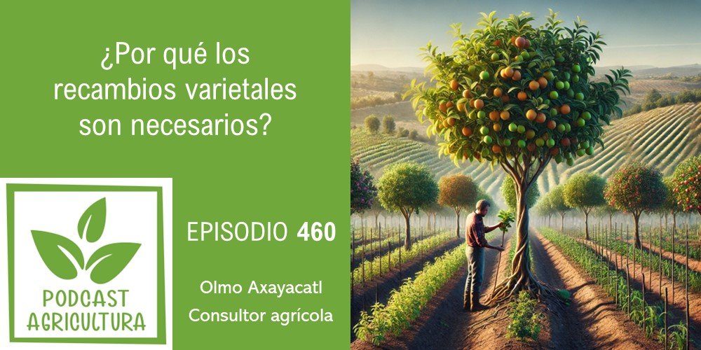 Episodio 460 de Podcast Agricultura