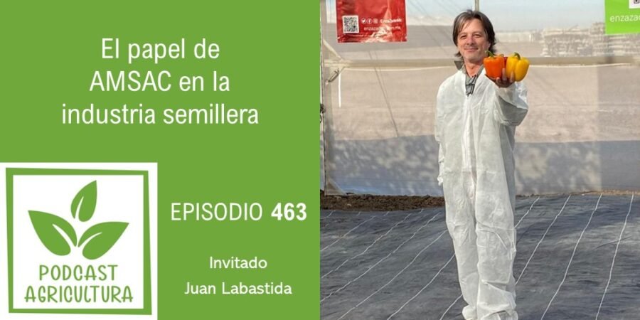 Episodio 463: El papel de AMSAC en la industria semillera con Juan Labastida