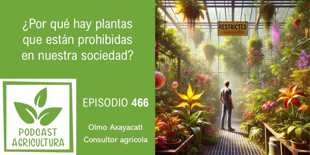 Episodio 466: ¿Por qué hay plantas que están prohibidas en nuestra sociedad?