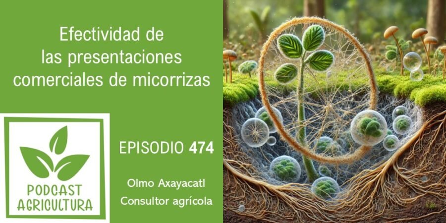 Episodio 474: Efectividad de las presentaciones comerciales de micorrizas