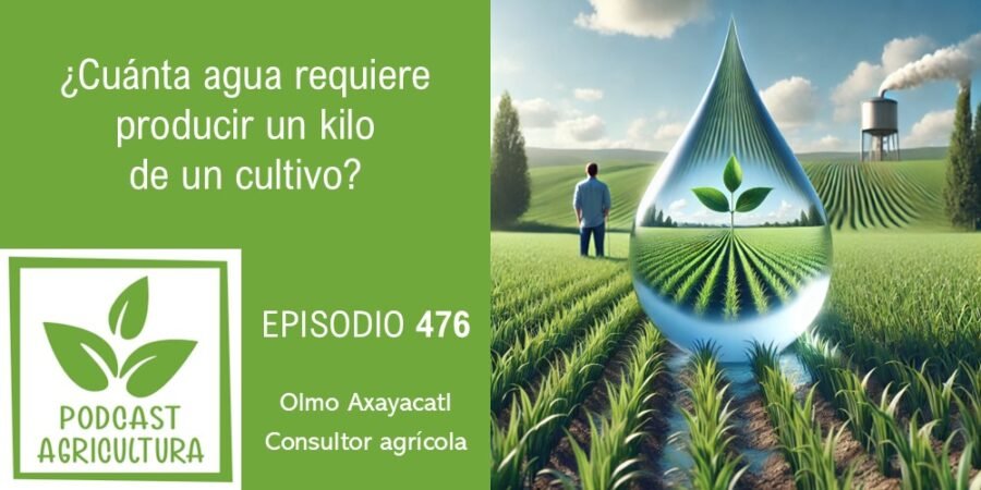 Episodio 476: ¿Cuánta agua requiere producir un kilo de un cultivo?