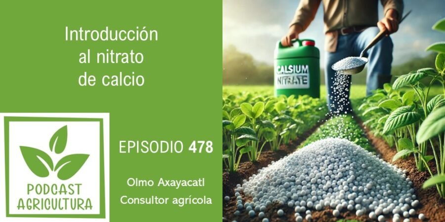 Episodio 478: Introducción al nitrato de calcio