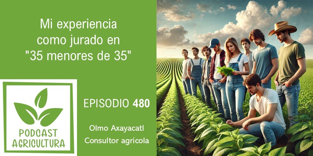 Mi experiencia como jurado en 35 menores de 35