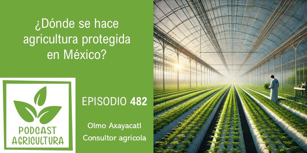 ¿Dónde se hace agricultura protegida en México?