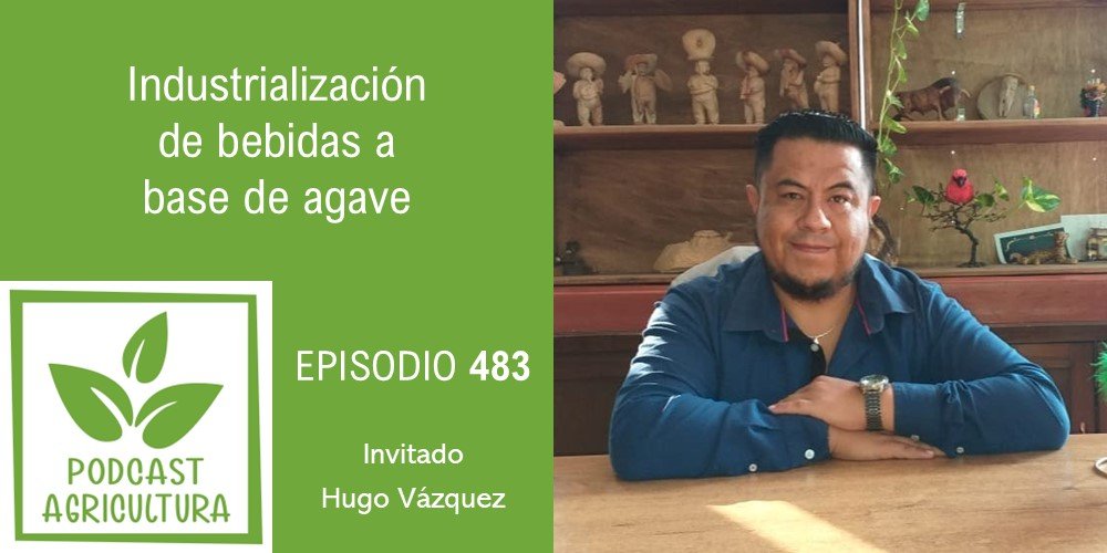 Industrialización de bebidas a base de agave con Hugo Vázquez
