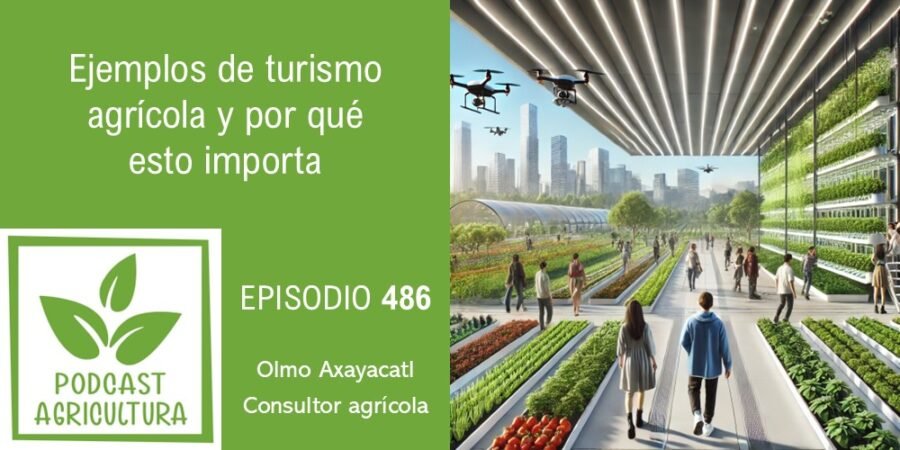 Episodio 486: Ejemplos de turismos agrícola y por qué esto importa