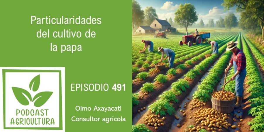 Episodio 491: Particularidades del cultivo de la papa