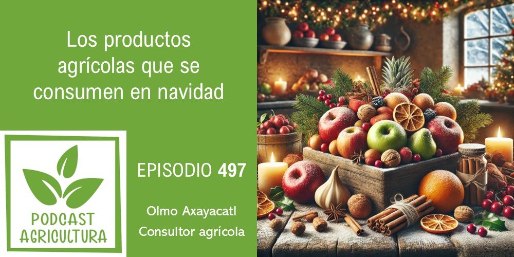 Los productos agrícolas que se consumen en navidad