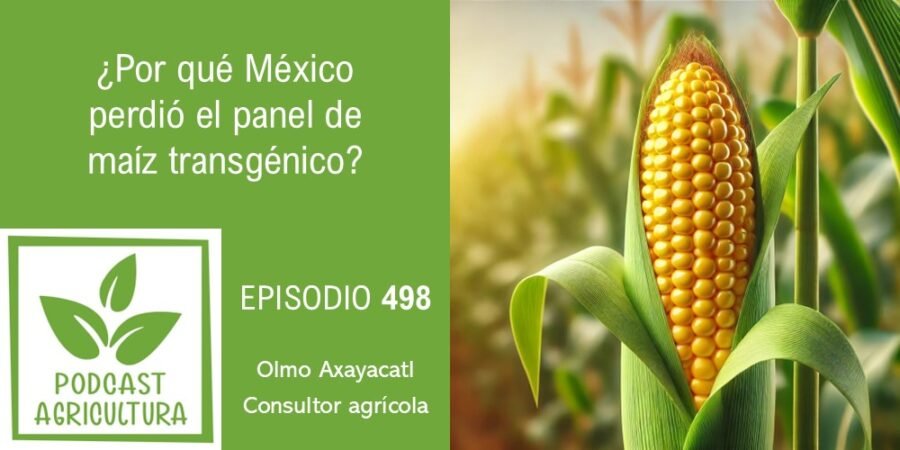 Episodio 498: ¿Por qué México perdió el panel de maíz transgénico?