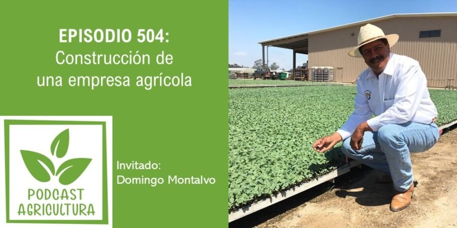 Episodio 504: Construcción de una empresa agrícola con Domingo Montalvo