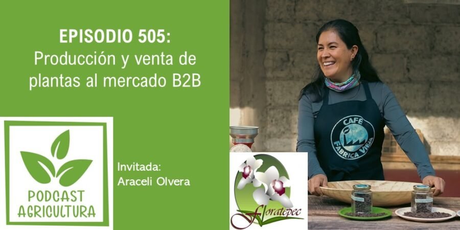 Episodio 505: Producción de flores B2B con Araceli Olvera