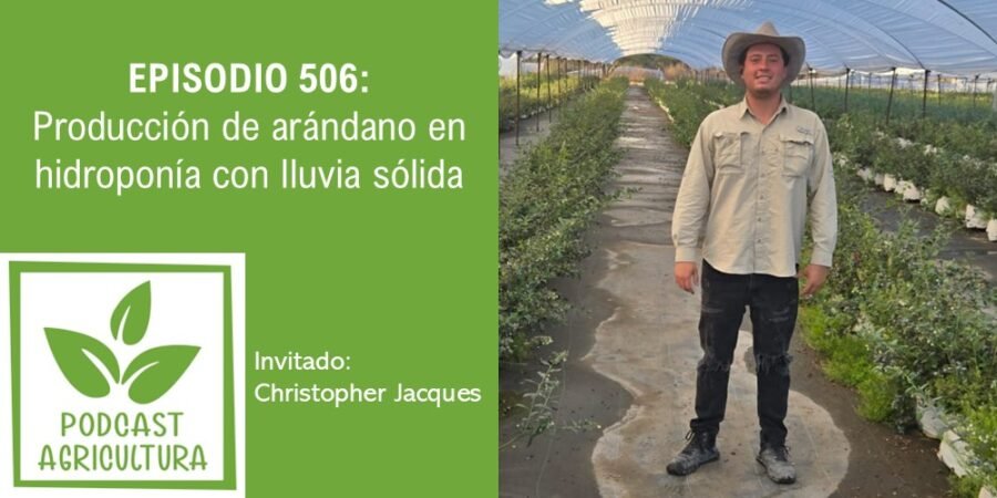 Episodio 506: Producción de arándano en hidroponía con lluvia sólida con Christopher Jacques