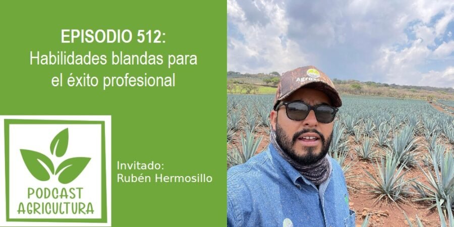 Episodio 512:  Habilidades blandas para el éxito profesional con Rubén Hermosillo