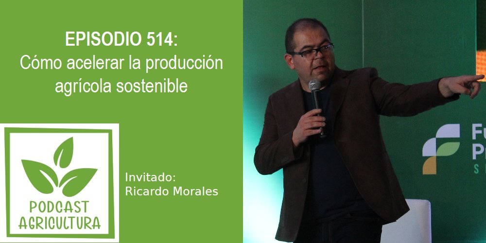 Episodio 514: Cómo acelerar la producción agrícola sostenible con Ricardo Morales