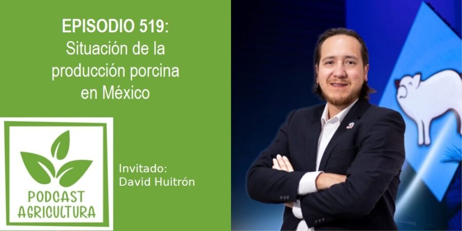 Episodio 519: Situación de la producción porcina en México con David Huitrón